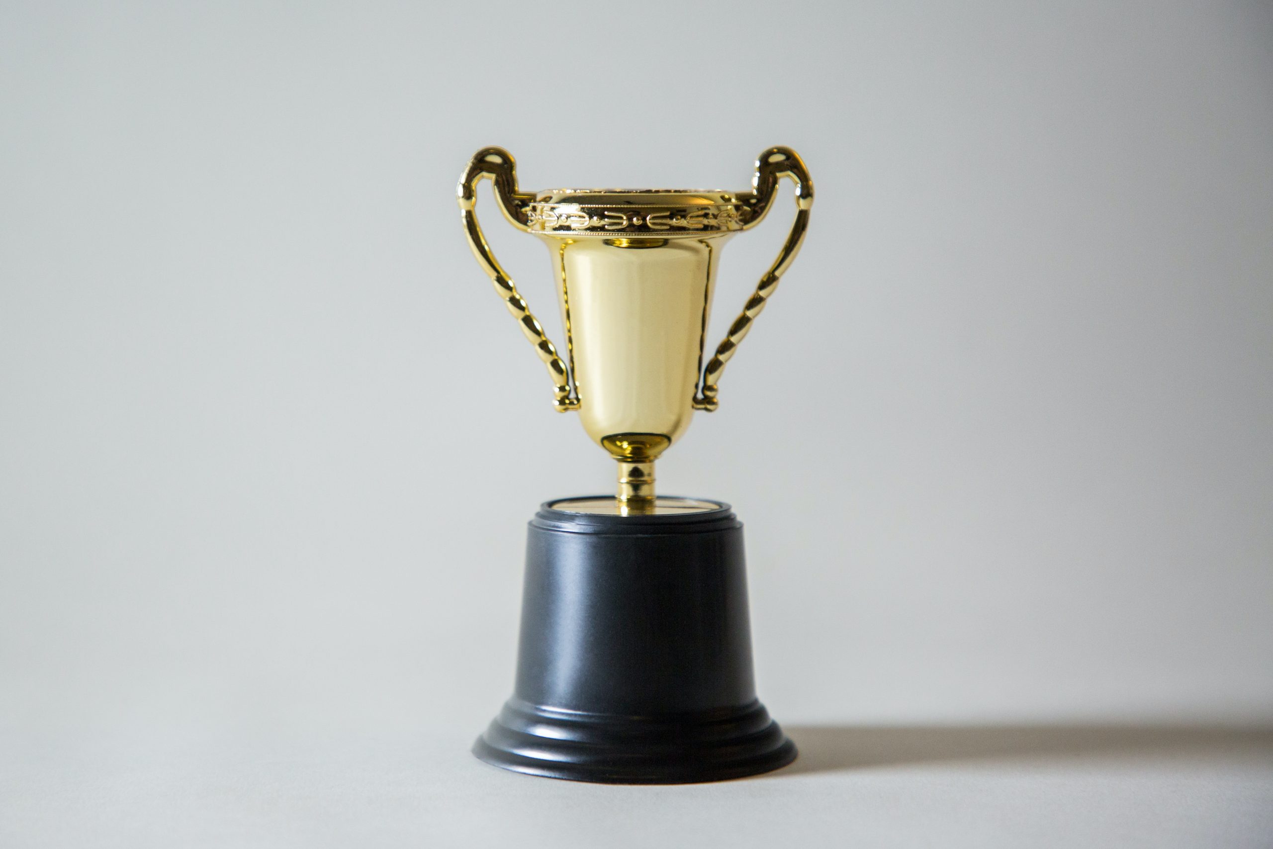 Award winning Virtual Assistant